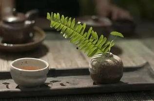 新疆吃瓜不能喝茶,吃瓜时为何不能喝茶？揭秘背后的文化奥秘
