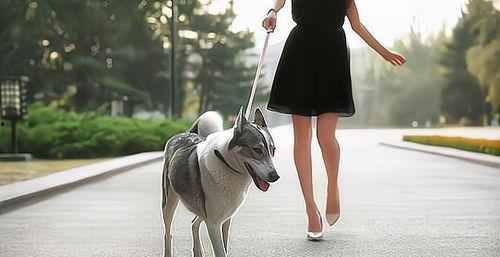 抓马吃瓜路人,人生百态的趣味解读