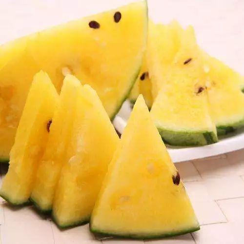 黑美人吃瓜,探寻神秘瓜果的传奇故事