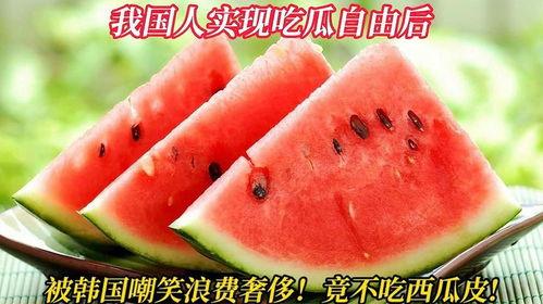 看韩国吃瓜,看瓜群众眼中的甜蜜与苦涩