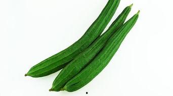 专家谈吃瓜,专家带你领略网络热议背后的文化现象