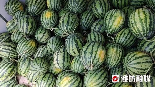 铝良道吃瓜,揭秘娱乐圈的甜蜜瓜田