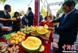 娱趣吃瓜,揭秘娱乐圈那些不为人知的幕后故事