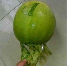 浙江余姚 吃瓜事件