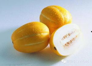 孕初期可以吃茄瓜,茄瓜助力母婴健康