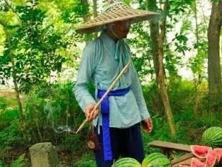 路边瓜棚吃瓜,瓜棚下的悠闲时光